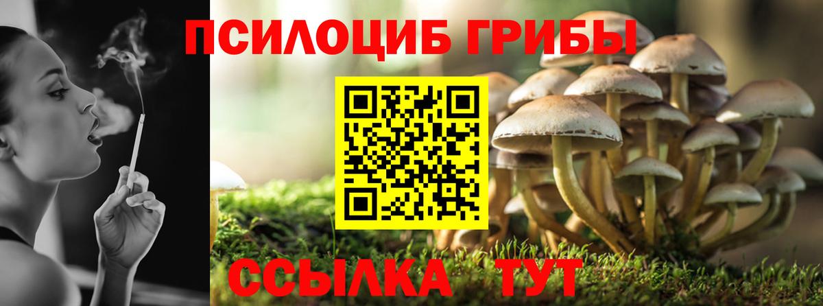 Трёхгорный  наркошоп  Вход с VPN  Псилоцибиновые грибы мухоморы 